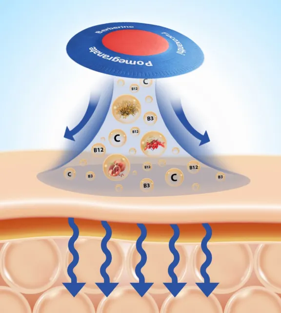 How Does Purisaki Works?